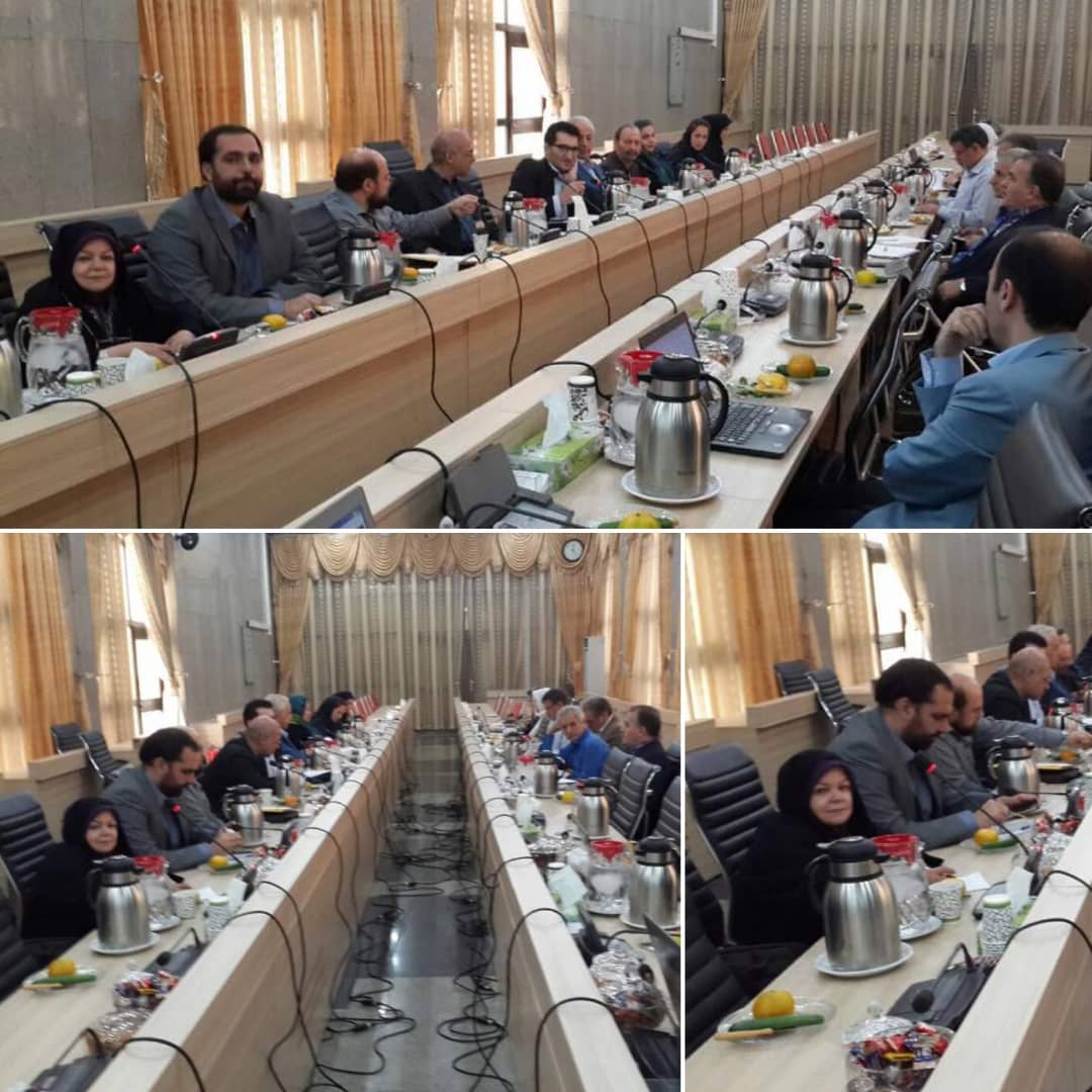 جلسه کار گروه توان یابان کمیته اجتماعی شورای اسلامی شهر تهران 